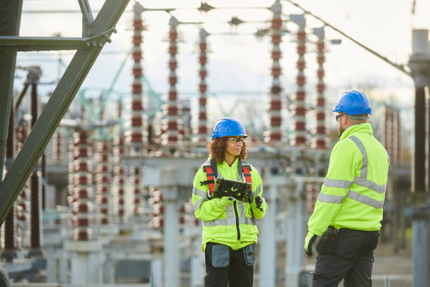 Best Generator Installation Services  in Temperance, MI